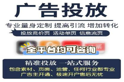 行业领先的SEM推广代运营公司案例集锦